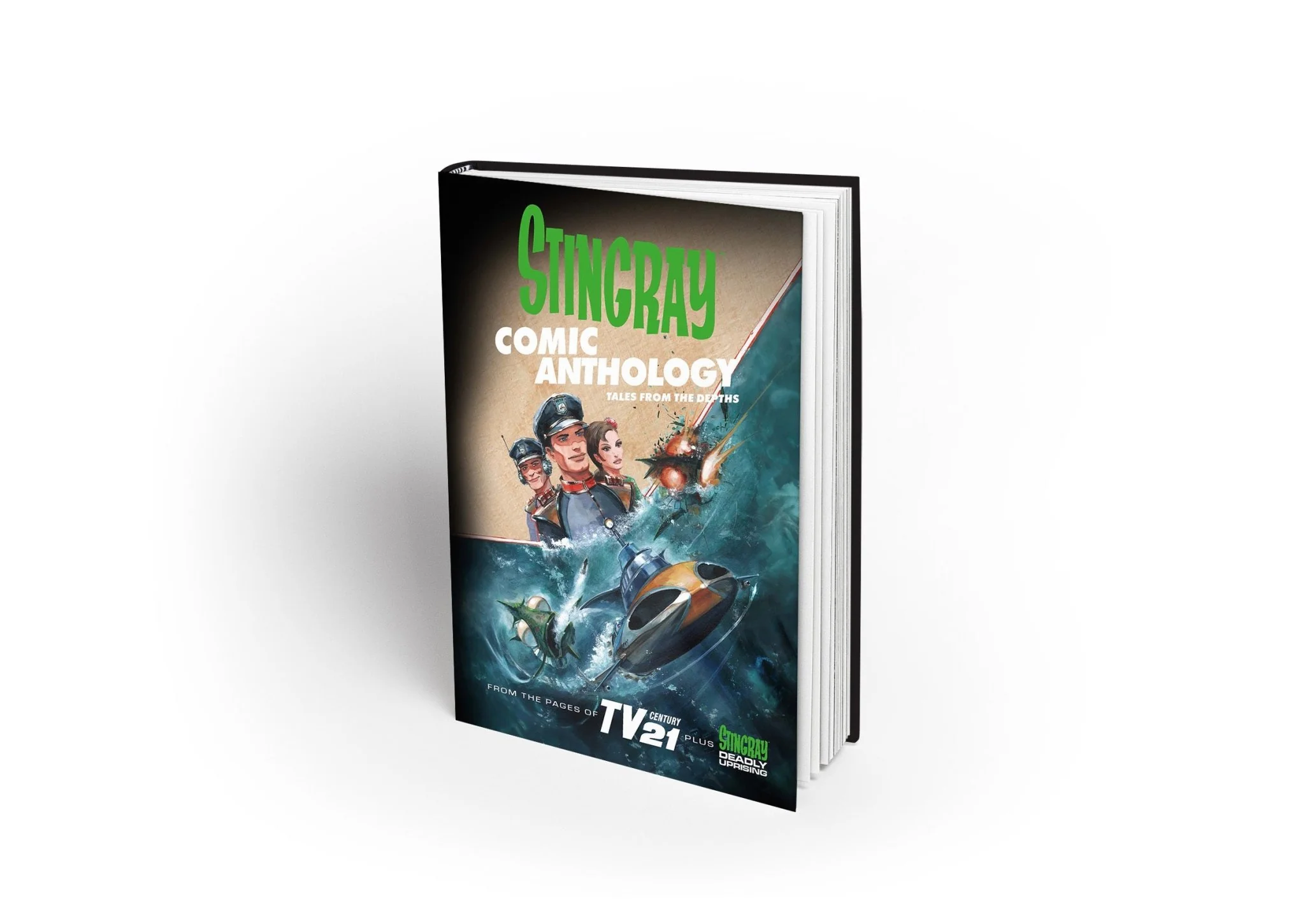 Thumbnail 17